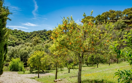 Down to your private parking area